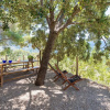 Отель Son Bou in S Ller With 2 Bedrooms and 1 Bathrooms, фото 17