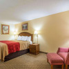 Отель Econo Lodge Inn & Suites Macon, фото 5