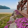 Отель Geoje Seven Pension, фото 17