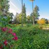 Отель Casa Las Palmeras Sanlucar La Mayor by Ruralidays, фото 1