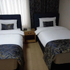 Отель Hanemir Otel, фото 18