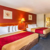 Отель Econo Lodge, фото 7