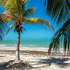 Отель Holbox Dream Beach Front Hotel, фото 20