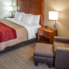 Отель Comfort Inn, фото 5