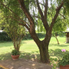 Отель Villa Favilli, фото 17