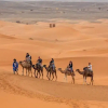 Отель Merzouga Experience Luxury Camp, фото 16