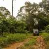Отель Camping In Remote Coorg, фото 14