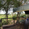 Отель Mtomeni Safari Camp, фото 10
