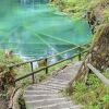 Отель Blausee, фото 33