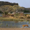 Отель Sher Bagh, фото 5