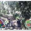 Отель Cabañas en Parque Ecoturistico El Ocote, фото 6