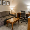 Отель Comfort Inn & Suites Lakeland North I-4, фото 22