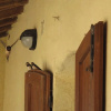 Отель Agriturismo I Pianali, фото 7