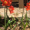Отель Pousada Quinta do Barão, фото 37