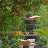 Отель Cloud 9 Yunwai Boutique Inn, фото 17