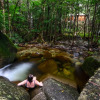 Отель Daintree Cascades, фото 5