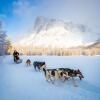 Отель Reisastua Lodge, фото 23
