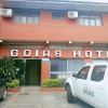 Отель Goias Hotel, фото 1