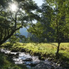 Отель The Conscious Farmer Bed and Breakfast Sauerland, фото 7