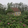 Отель Skaerven Beachfront Condos and Cottage, фото 5