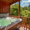 Отель Bear Essentials Lodge Hot Tub Game Room Steam Showers and Community Pool, фото 6