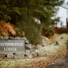 Отель Silverbridge Lodge, фото 32