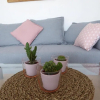 Отель Les Alpines appartement , 70m2, фото 5