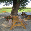 Отель Agriturismo Gallo Nero, фото 18