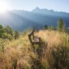 Отель Ferienhäuser Oetztal в Эц