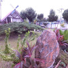Отель Star Nest B&B, фото 19