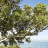 Отель Bay Beach House, фото 12