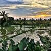 Отель Bisma Cottages Ubud, фото 12