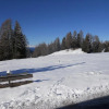 Отель Villa Tamion, фото 9