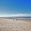 Отель Holiday Apartment With a View of the Dunes, Sea, and Lighthouse, фото 17