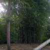 Отель 涠洲岛栖迟客栈, фото 1