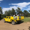 Отель Lily Mountain Lodge - Amazing Mountains Views, Private Hot Tub, Great Location, фото 9