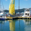 Отель Banana Bay Marina, фото 20