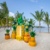 Отель Diamond Bay Resort and Spa, фото 33