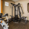 Отель Comfort Suites Stafford Near Sugarland, фото 20