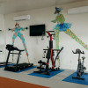 Sports