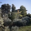 Отель Villa Pacini - Just 1,8 km Outside Lucca Wall - Pool, фото 1