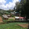 Отель Jayasinghe Cottages & Food Court, фото 3