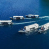 Отель Lembeh Resort, фото 13