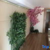 Отель Weishilu Apartment Hotel (Kaide Xicheng), фото 8