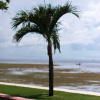 Отель The Beachhouse, фото 9