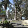 Отель Lorne Cottages Ocean Views, фото 10