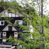 Отель Lodge Pico, фото 8