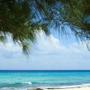 Отель Beach Key House, фото 4