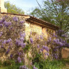 Отель 17th Century Provencal Farm House, фото 3