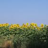 Отель B&B Harem, фото 23
